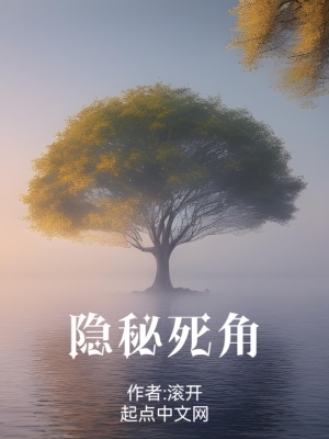 隐秘死角小说后续