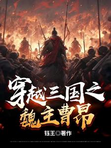 穿越三国之魏武雄风